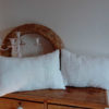 paire de coussins en drap ancien blanc, bordés de bordure raffinées des draps anciens, chaque coussin mesure 34 cms X 54 cms , est 100% coton et déhoussable, finition portefeuille. Ces coussins sont des modèles uniques.